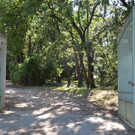 Bed and Breakfast La Petite Sardine Lirac Экстерьер фото